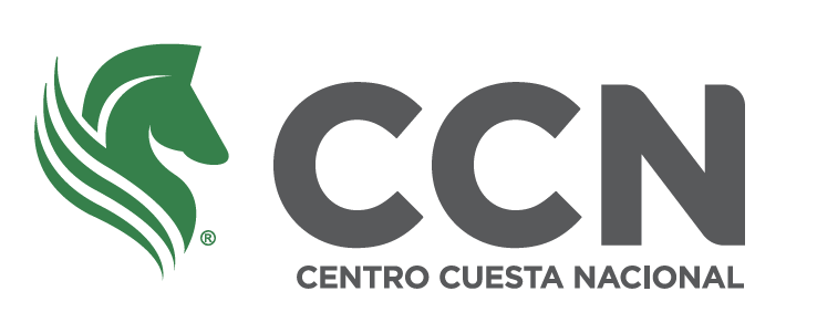 Logo de CCN